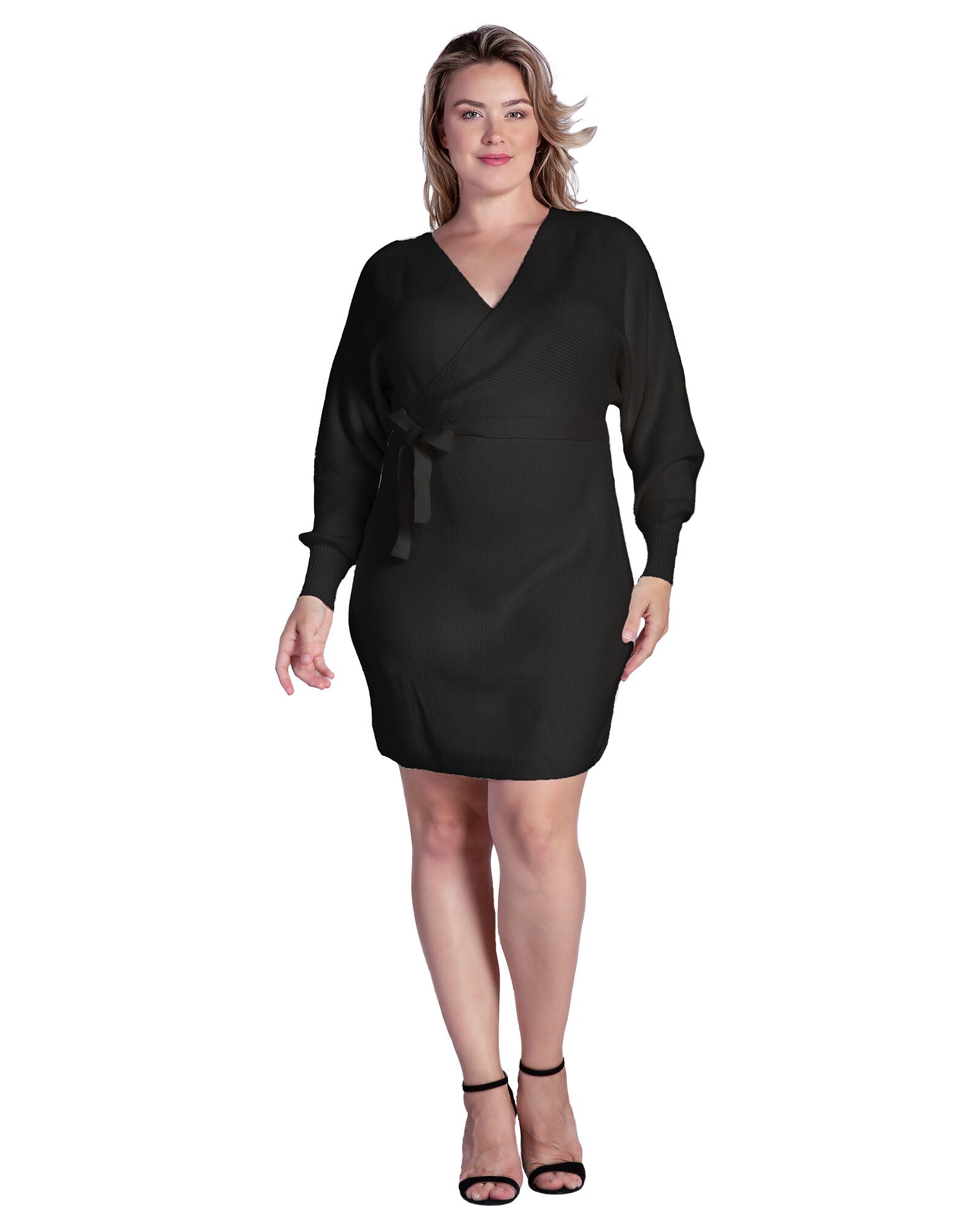 Women&#39;s Plus Size V-Back Full Sleeve Sweater Knit Mini Dress, Black / Black, hi-res image number 0