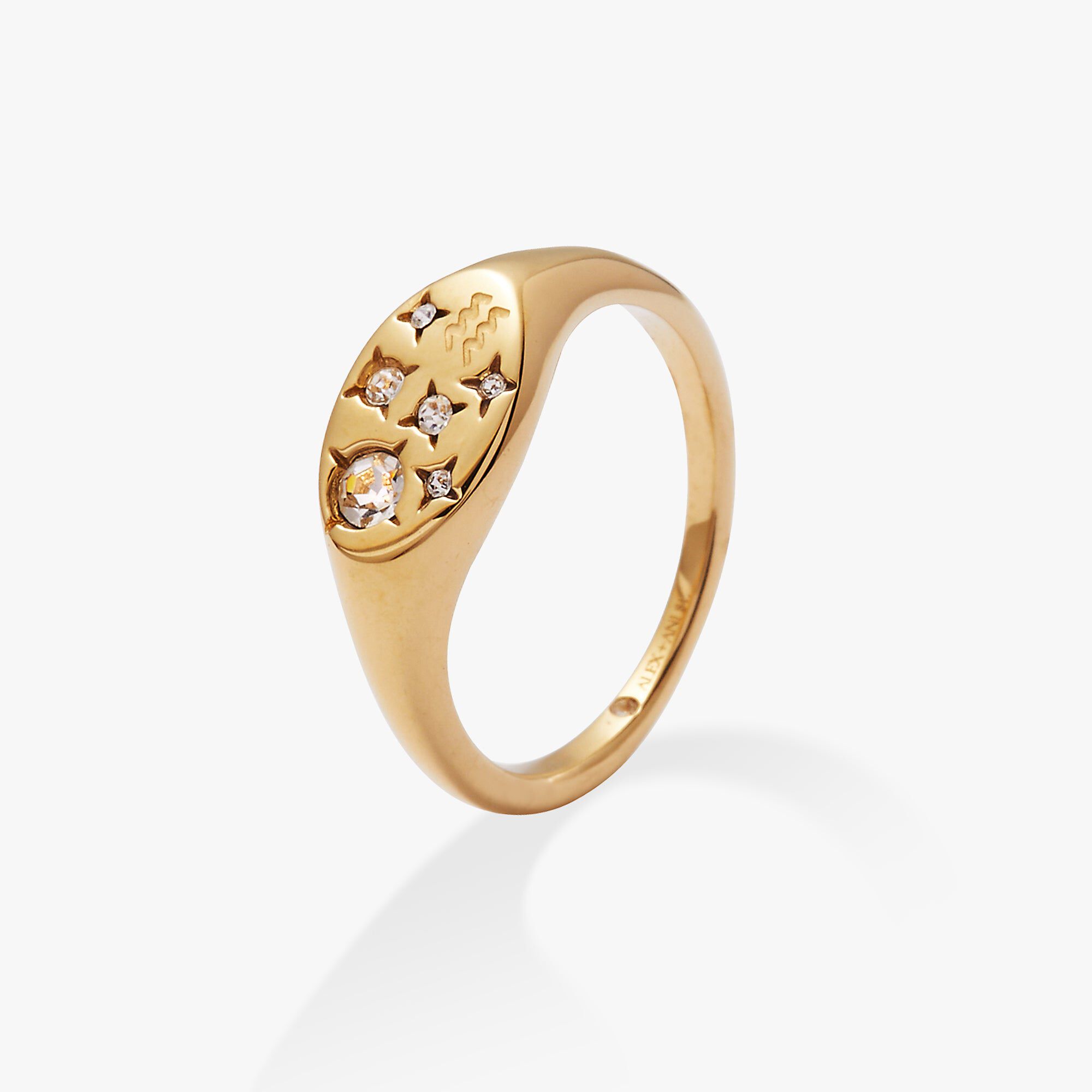 Capricorn Zodiac Ring, Gold  Aquarius / Gold, alternate image number 1