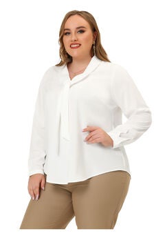 Long Sleeve Tie V Neck Chiffon Blouse