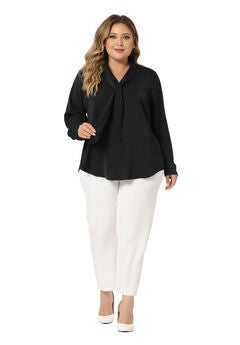 Long Sleeve Tie V Neck Chiffon Blouse