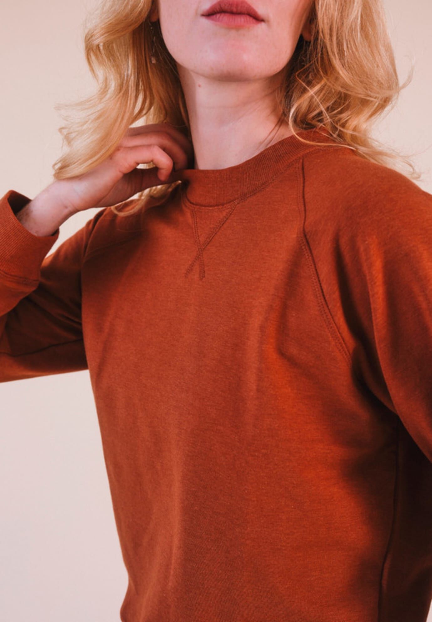 Plus Agnes Raglan Organic Cotton + Tencel Sweatshirt, Rust / Rust, alternate image number 3