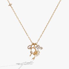 Zodiac Charm Cluster