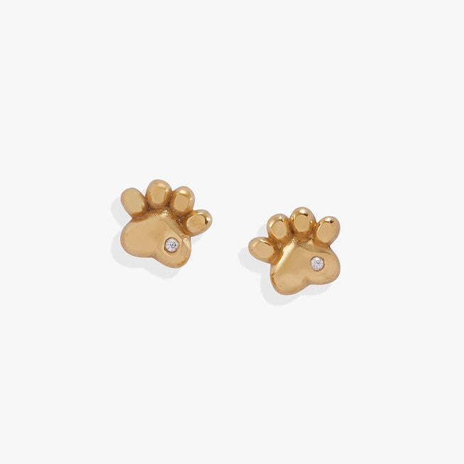 Crystal Paw Mini Stud Earrings, Gold / Gold, hi-res image number 0