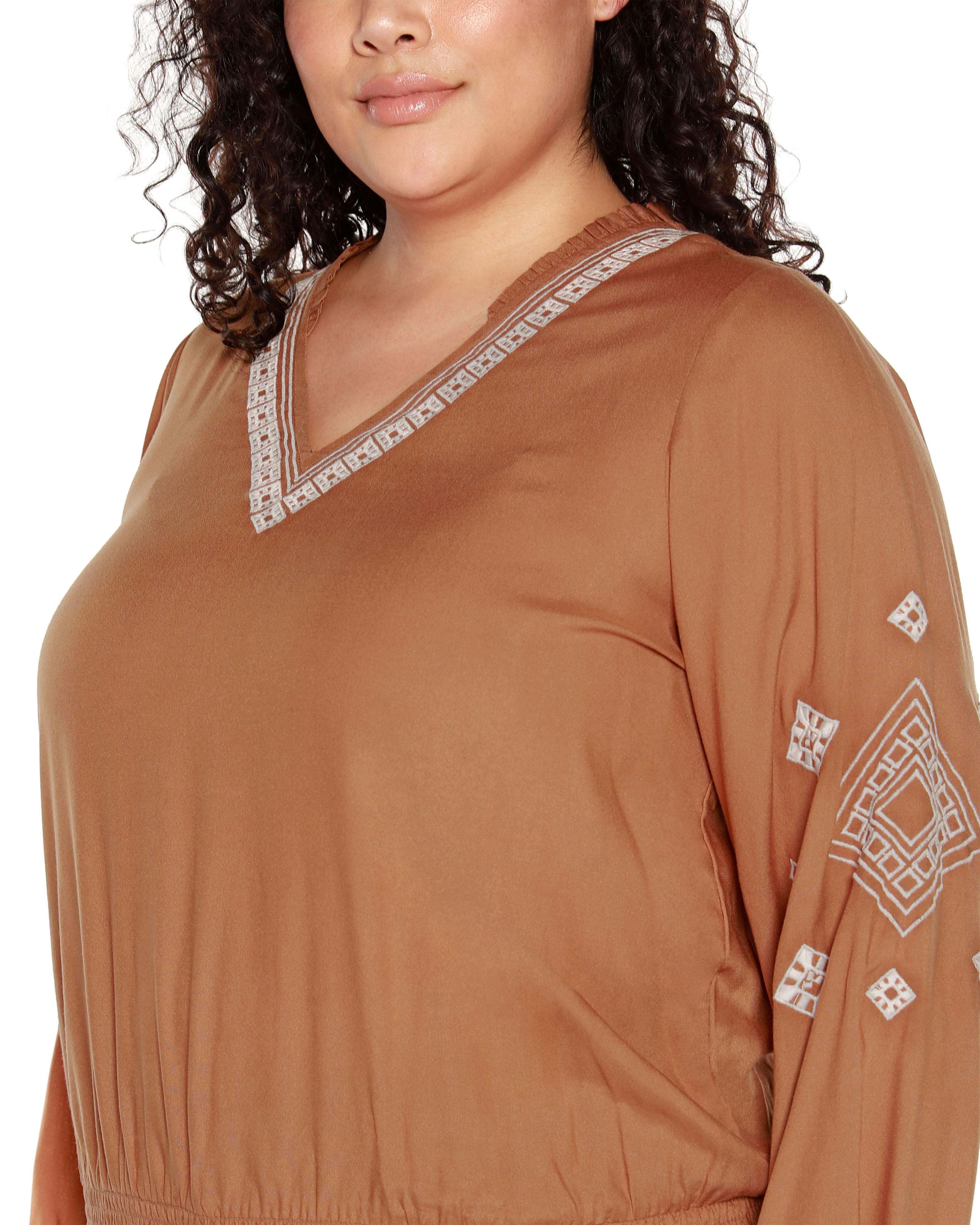 EMBROIDERED BLOUSON SLEEVE V-NECK BLOUSE, Iced Latte / Brown, alternate image number 3