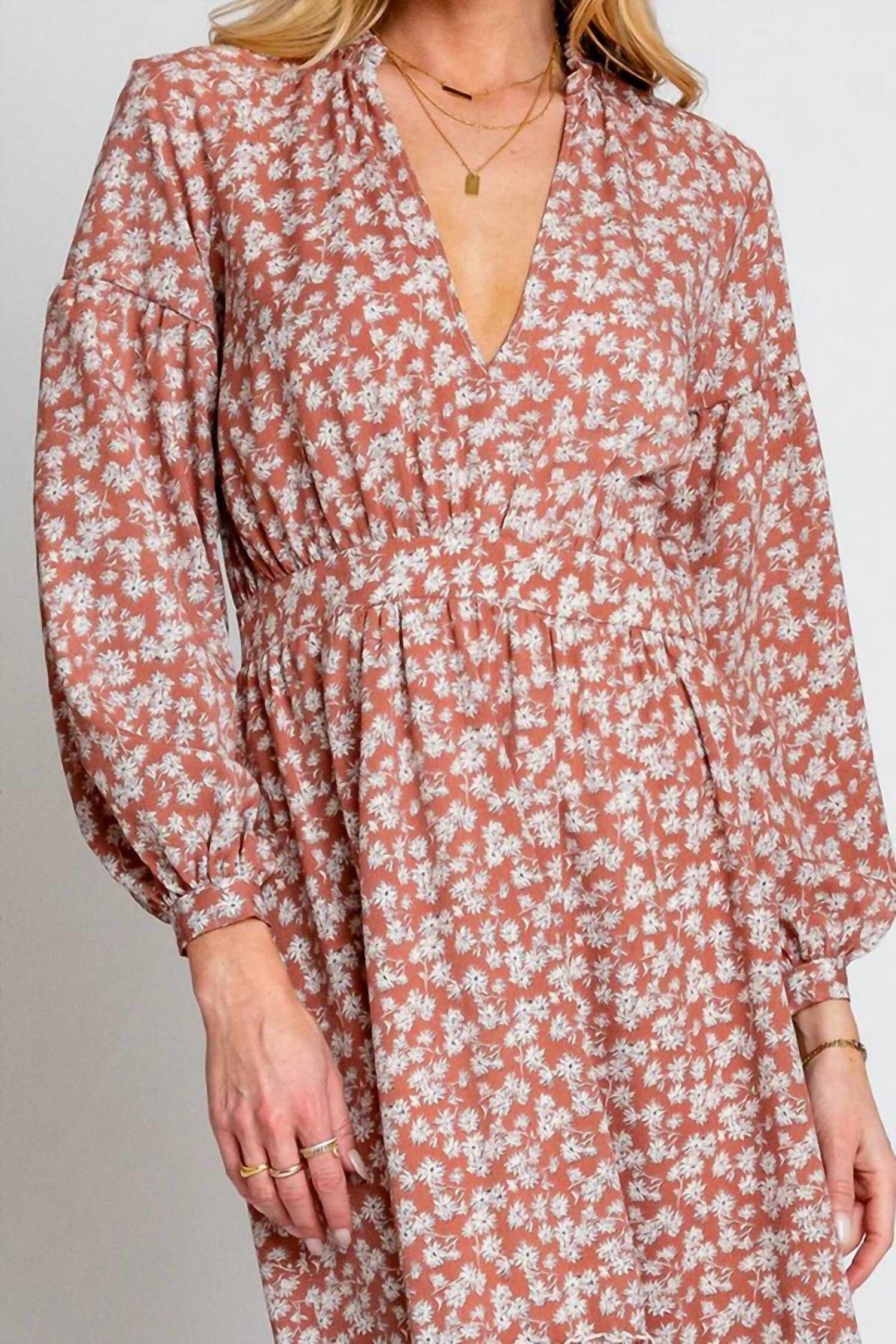 CASSANDRA DRESS IN CINNAMON SPICE, Cinnamon Spice / Pink, alternate image number 2