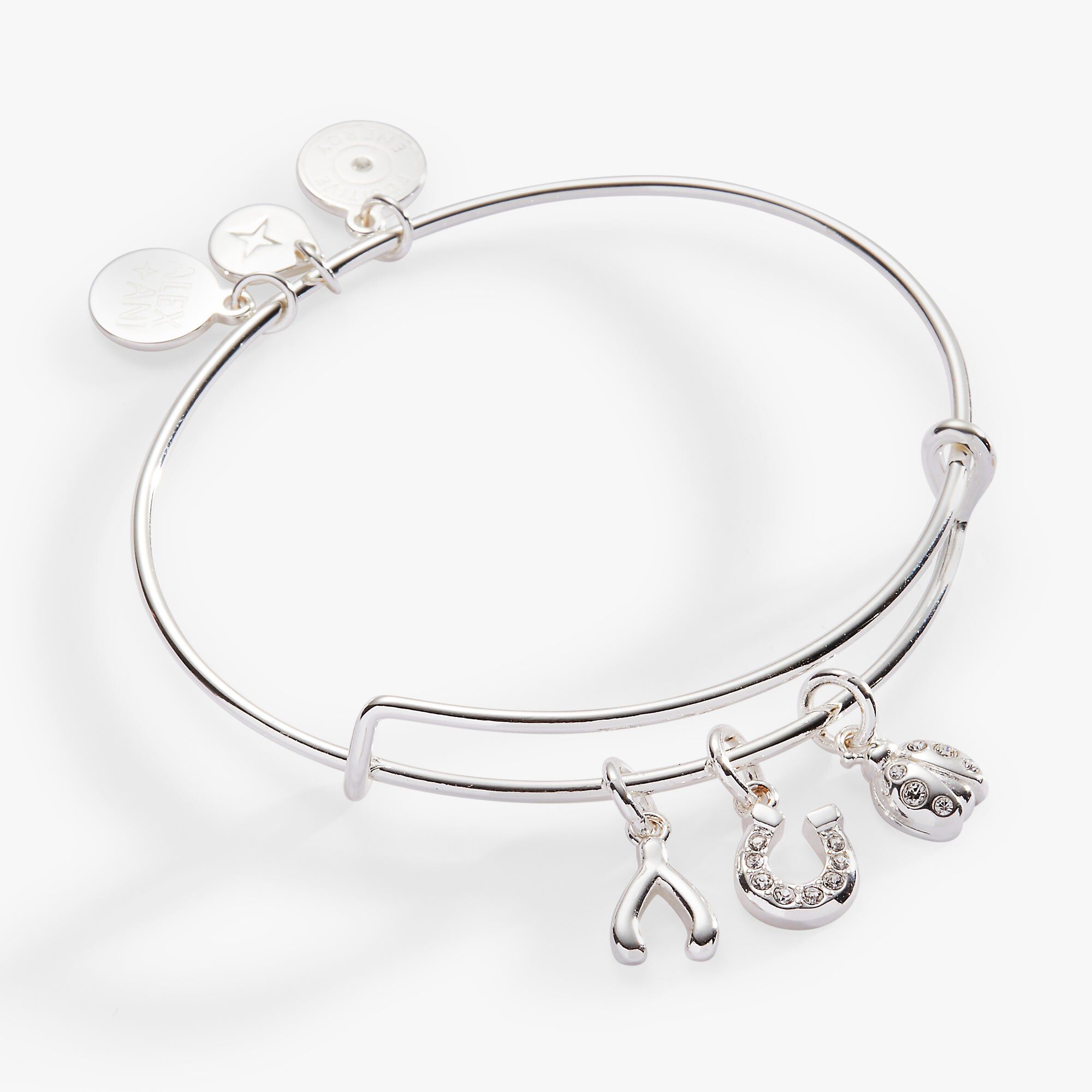 Love and Luck Multi-Charm Bangle, Silver / Silver, hi-res image number 0