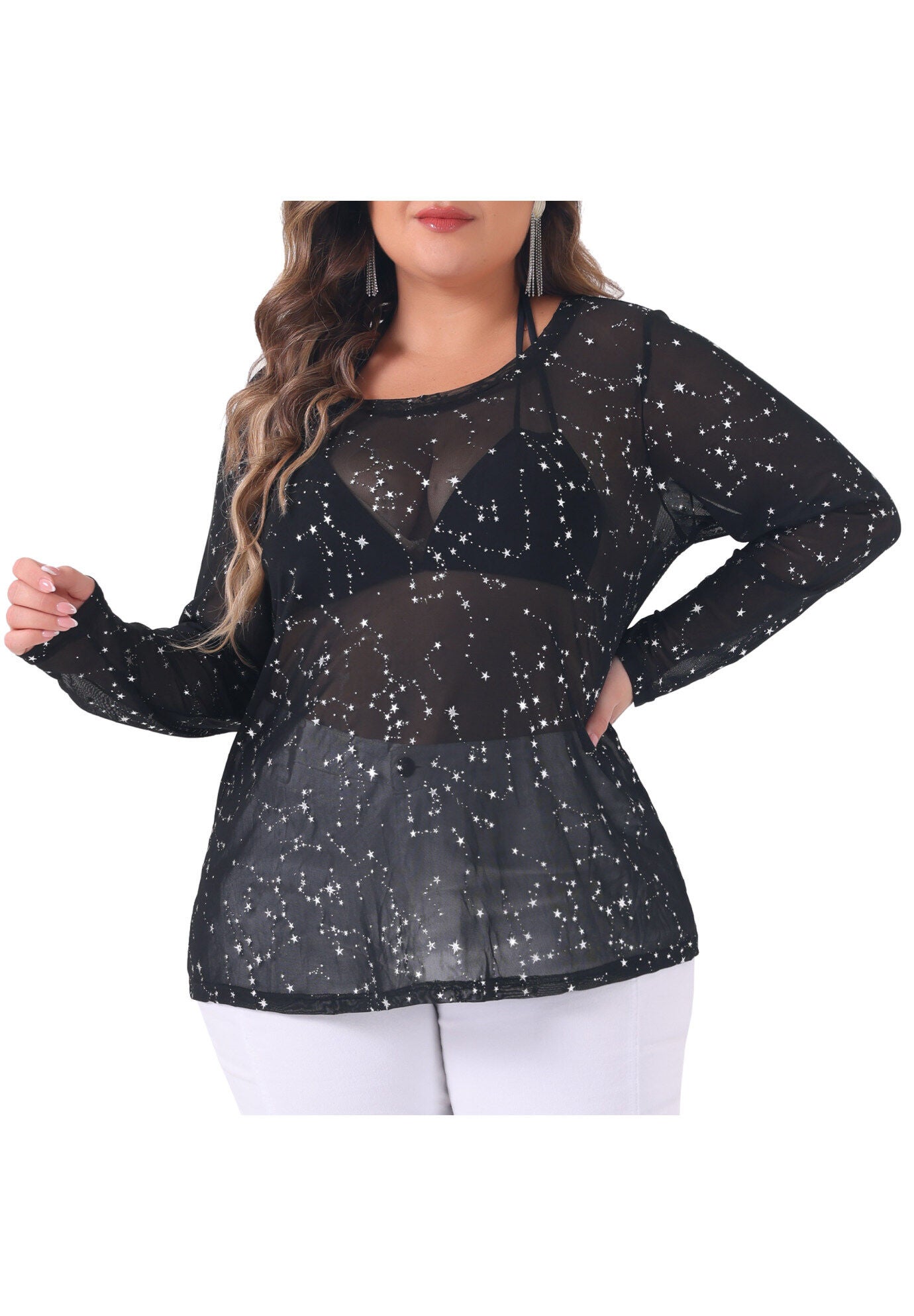 Sheer Mesh Long Sleeve Crew Neck Top, Black / Black, alternate image number 2