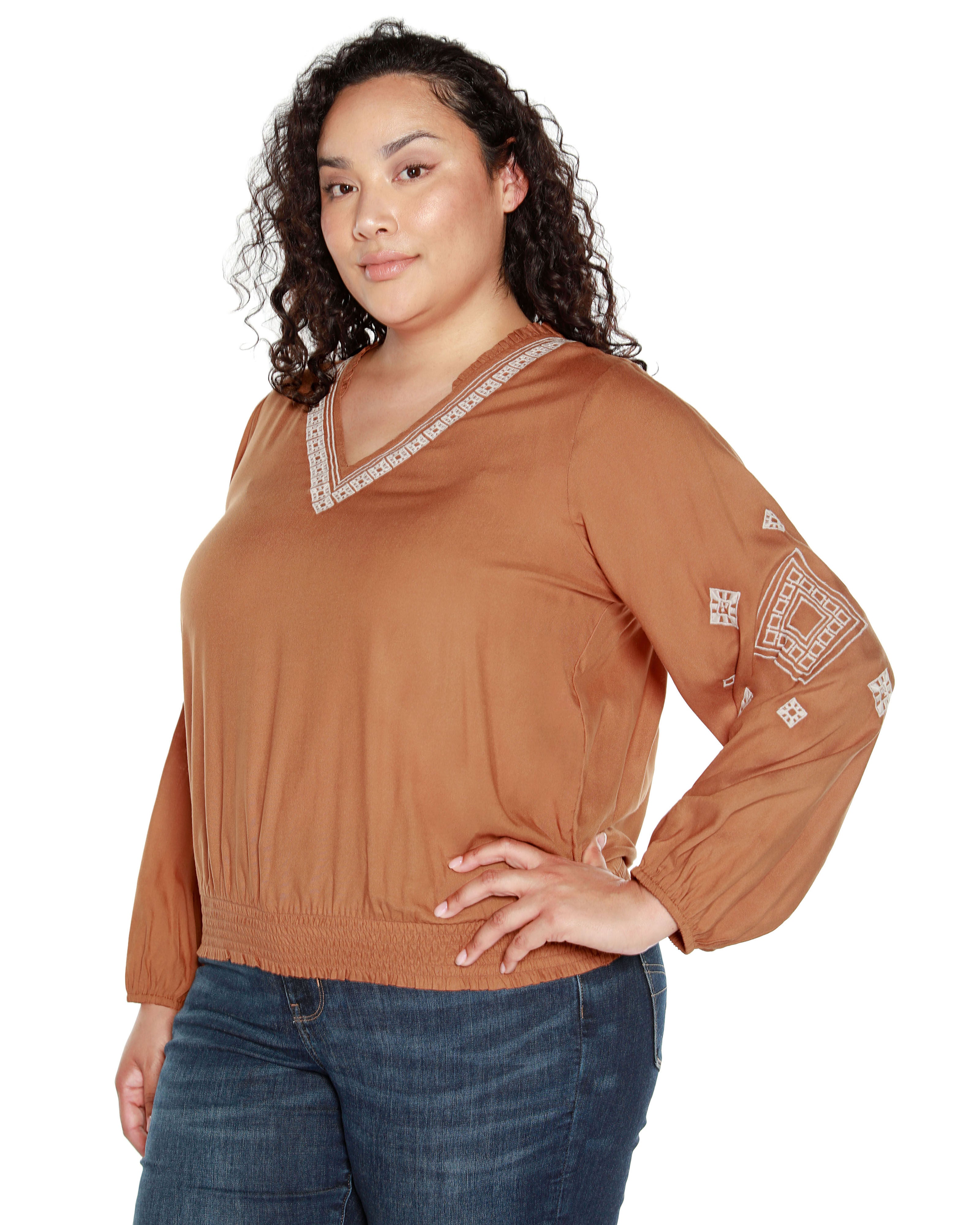 EMBROIDERED BLOUSON SLEEVE V-NECK BLOUSE, Iced Latte / Brown, alternate image number 2
