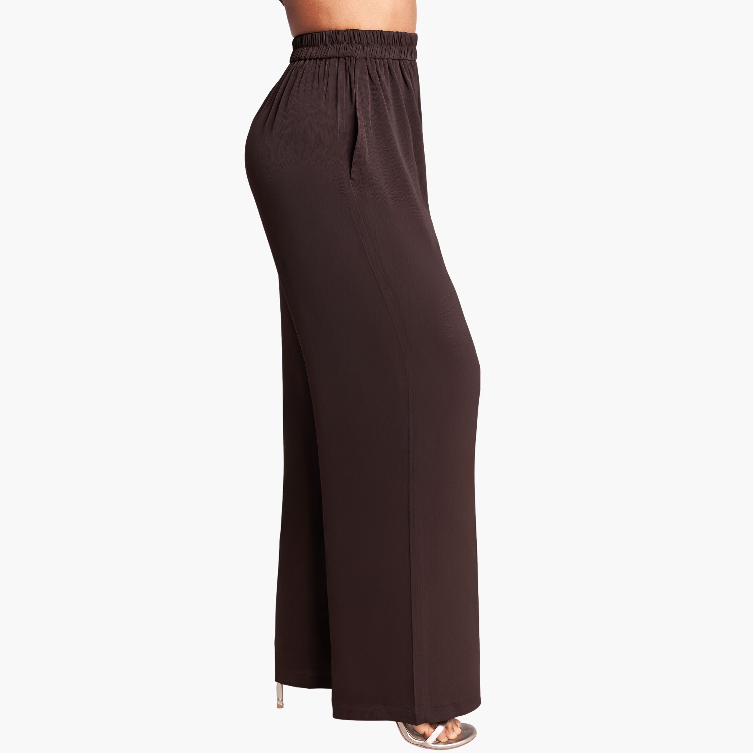 High Waisted Wide Leg Pants, Brown / Brown, alternate image number 1