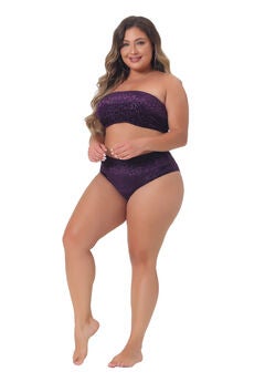 2 Piece Bandeau Bikini Velvet Leopard High Waisted Swimsuit