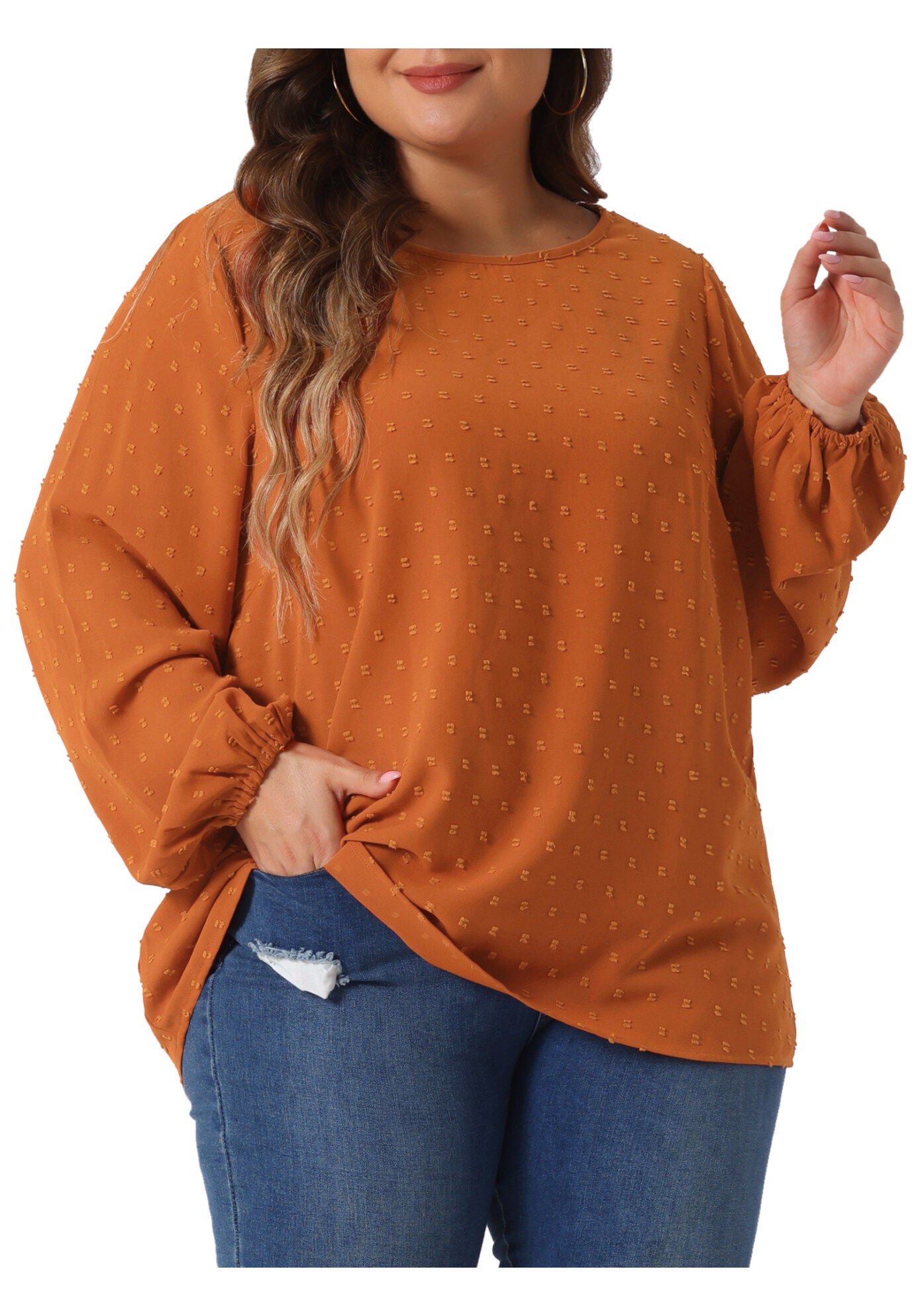 Crewneck Chiffon Blouses Swiss Dots Long Sleeve Top, Caramel / Brown, alternate image number 3