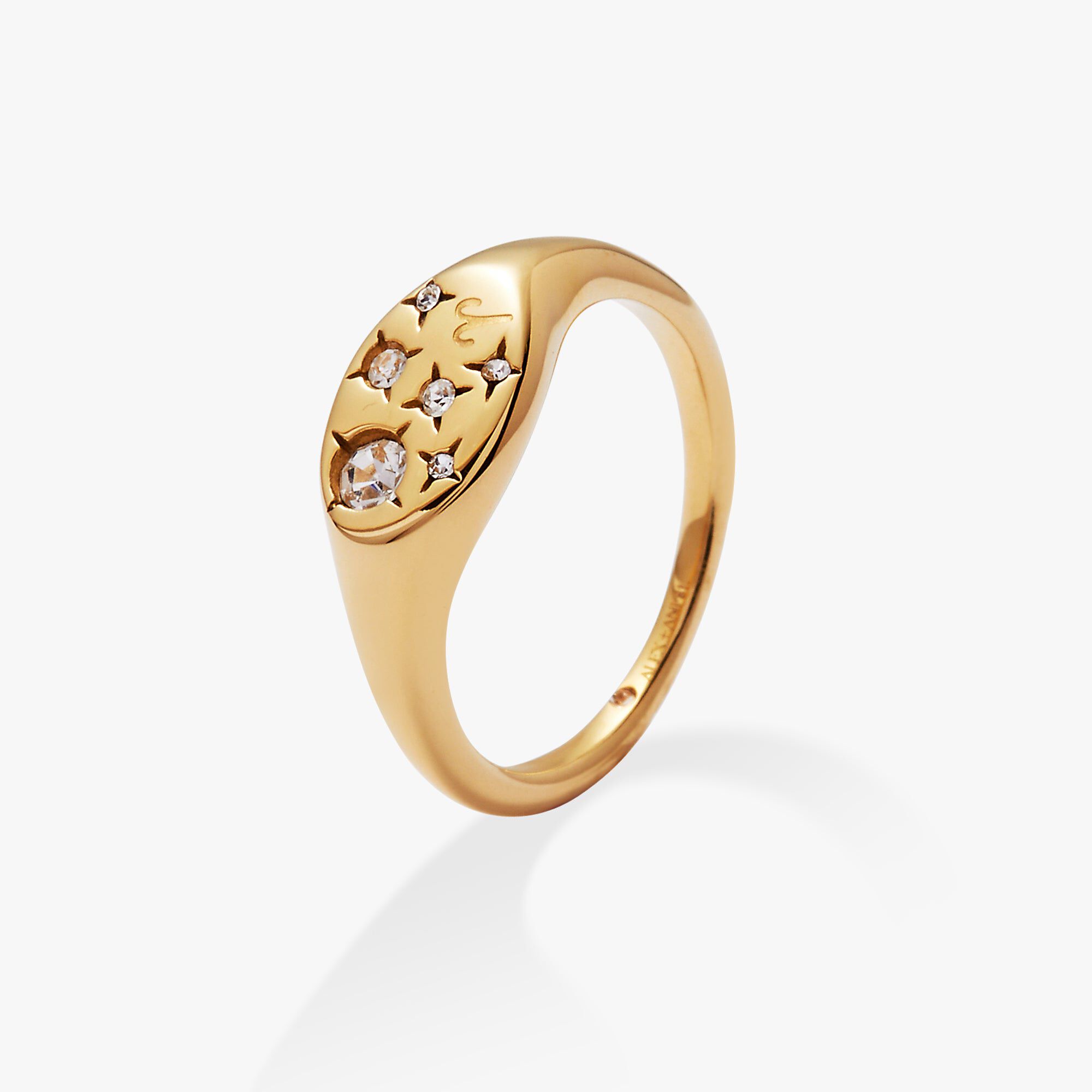 Capricorn Zodiac Ring, Gold  Aries / Gold, alternate image number 1