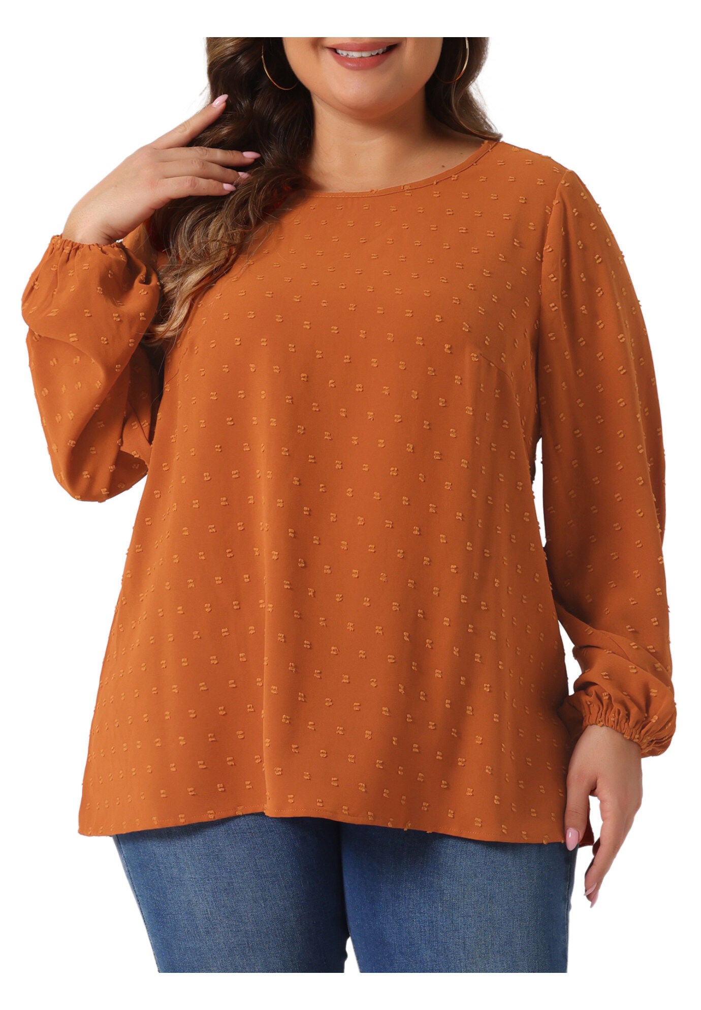 Crewneck Chiffon Blouses Swiss Dots Long Sleeve Top, Caramel / Brown, alternate image number 2