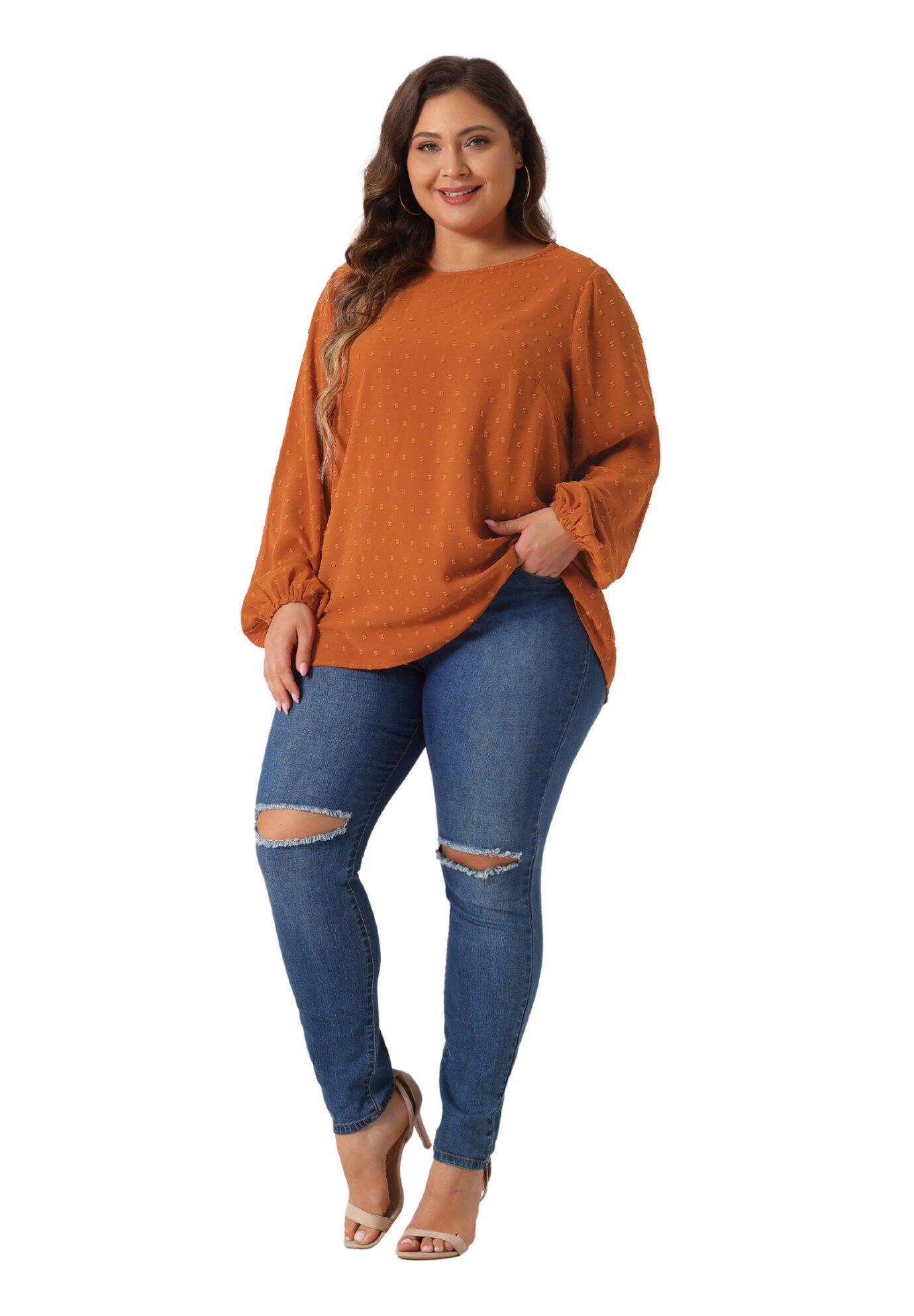 Crewneck Chiffon Blouses Swiss Dots Long Sleeve Top, Caramel / Brown, hi-res image number 0