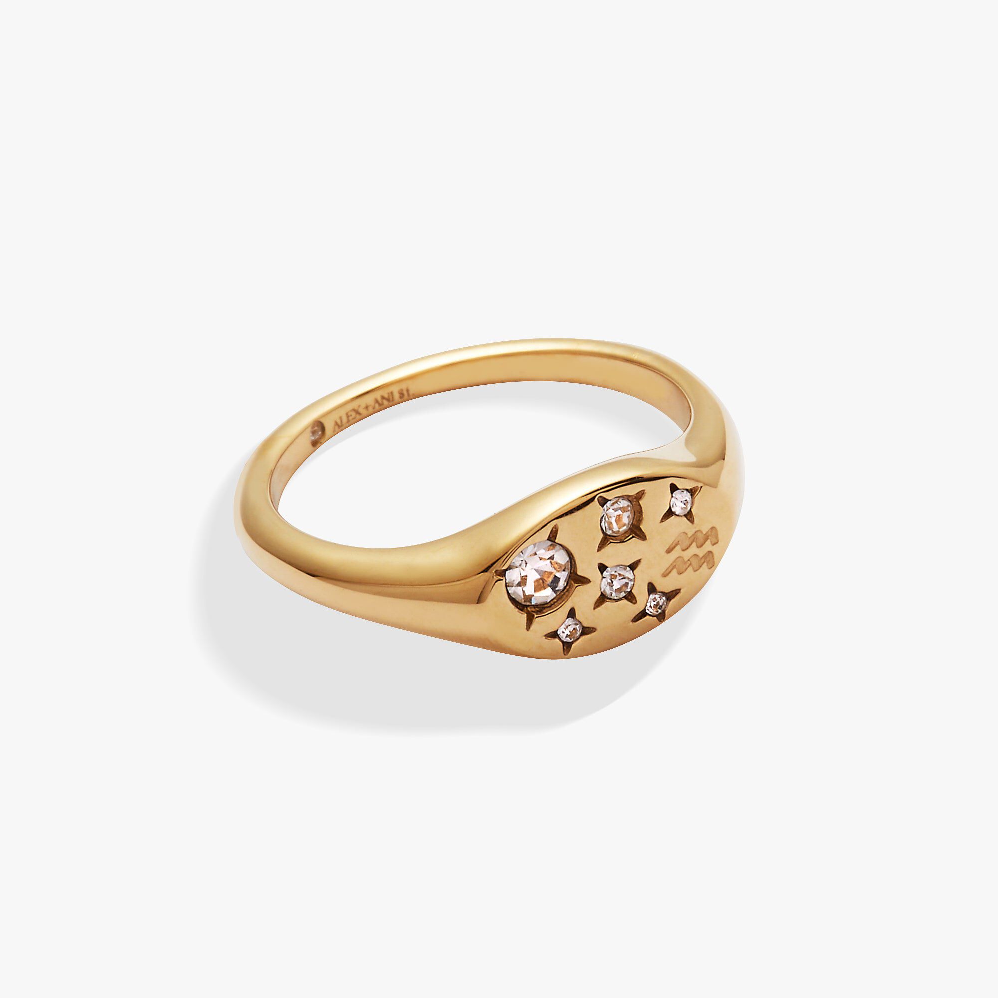 Capricorn Zodiac Ring, Gold  Aquarius / Gold, hi-res image number 0