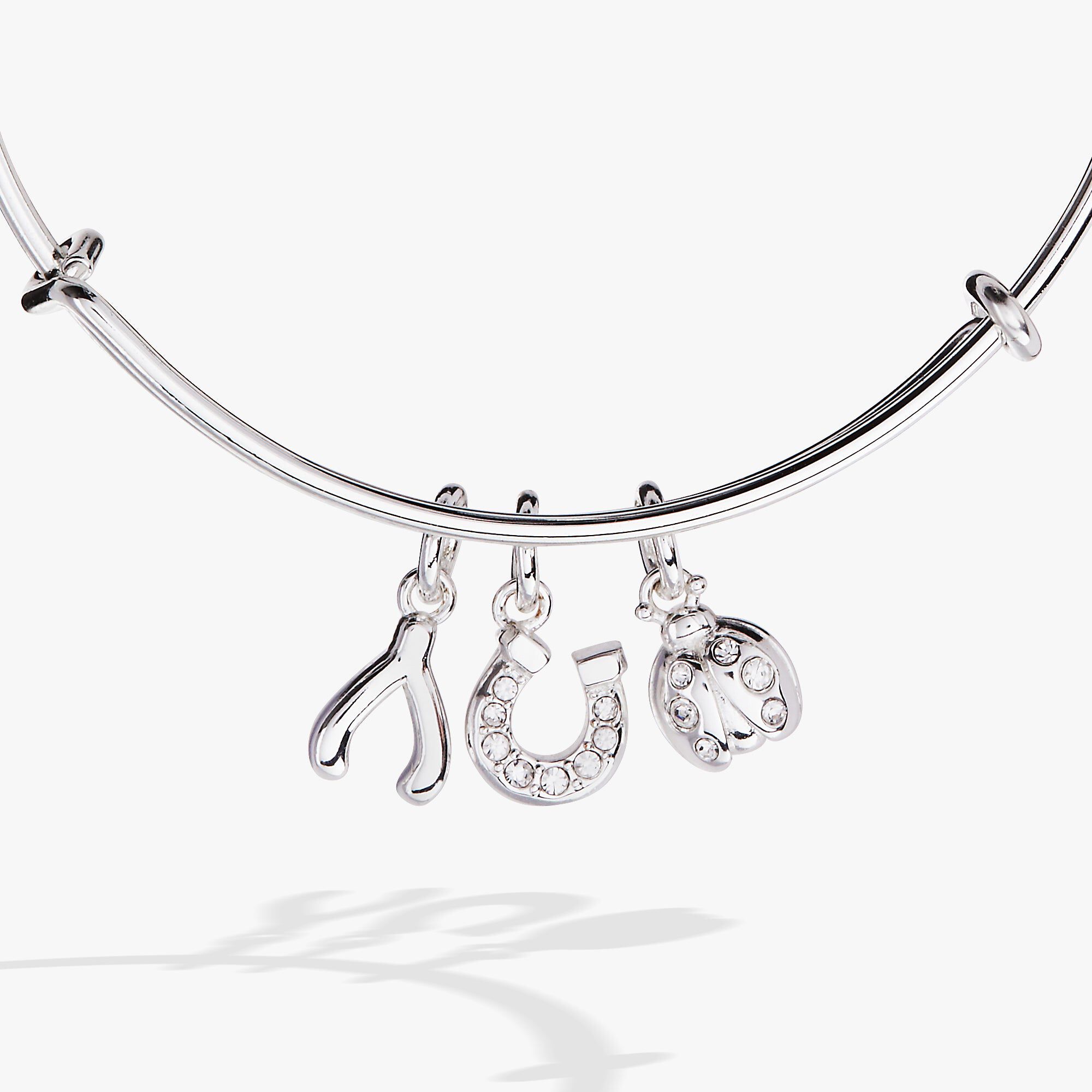 Love and Luck Multi-Charm Bangle, Silver / Silver, alternate image number 1