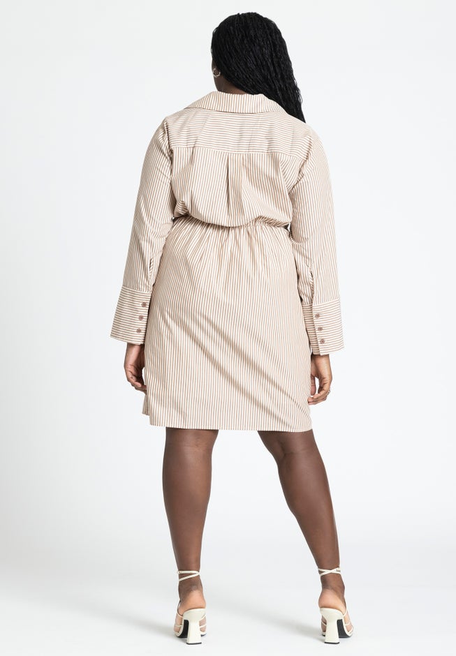Asym Striped Shirt Dress image number 2