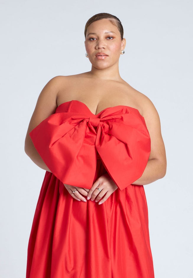Bow Bodice Flare Dress image number null