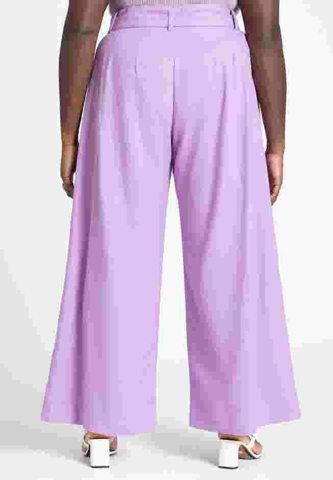 Pleat Detail Pant With Belt image number 2
