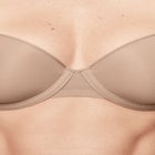 The Demi - Spacer image number null