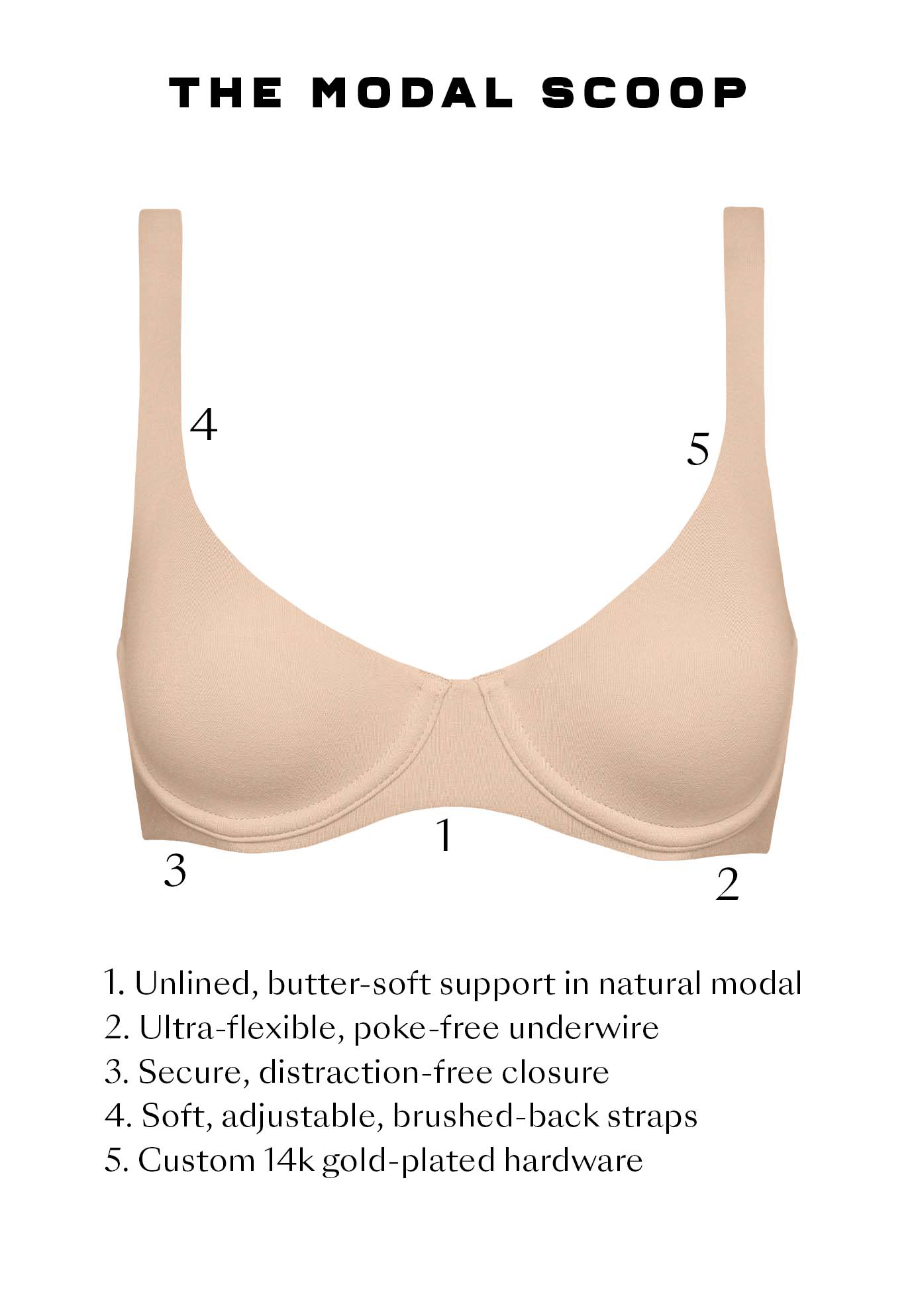 The Scoop - Modal image number 6