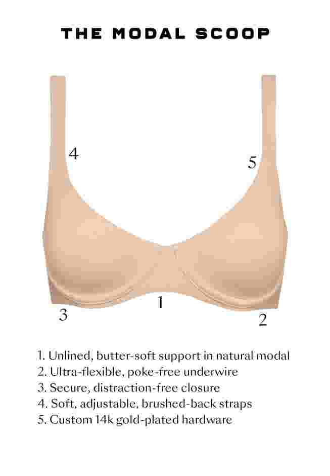 The Scoop - Modal image number 6