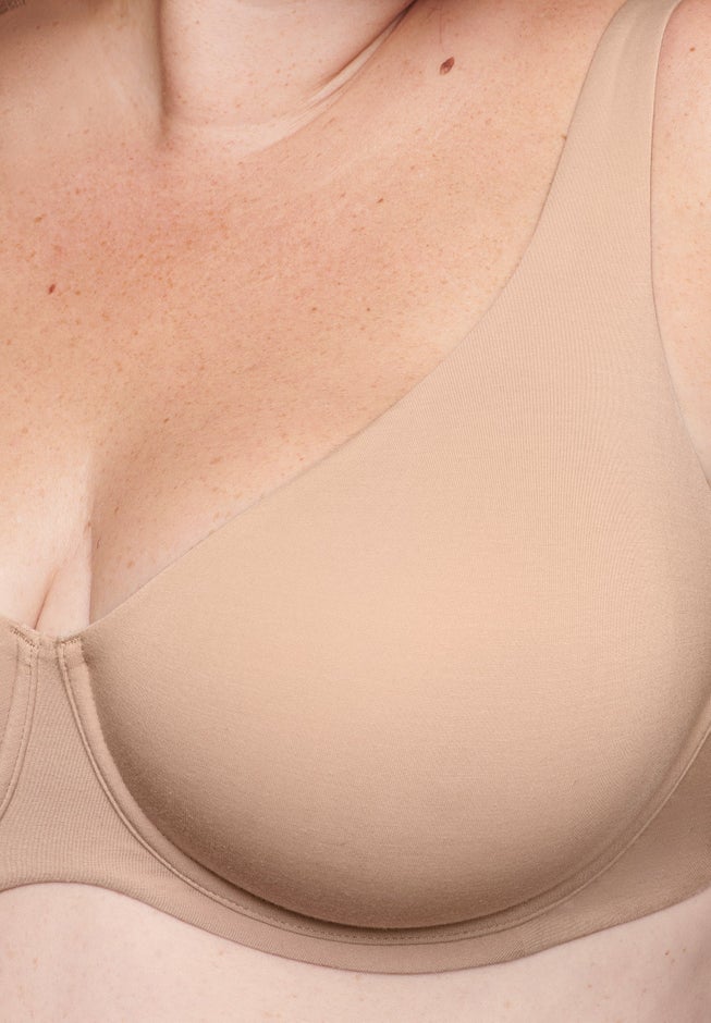 The Scoop - Modal image number 4