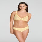 The Plunge - Mesh image number null