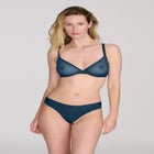 The Plunge - Mesh image number null