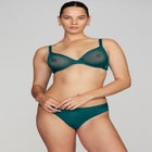 The Plunge - Mesh image number null