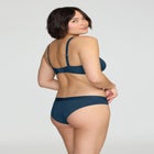 The Plunge - Modal image number null