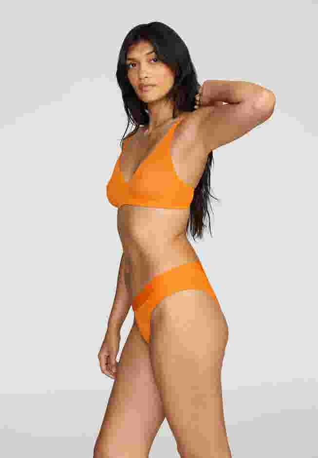 The Mesh Wireless Plunge image number 2