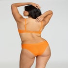 The Mesh Wireless Plunge image number null