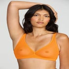 The Mesh Wireless Plunge image number null