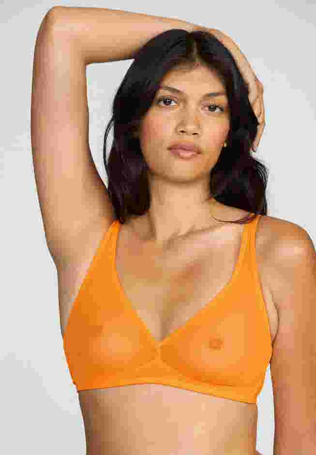 The Mesh Wireless Plunge image number 4