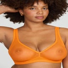 The Mesh Wireless Plunge image number null