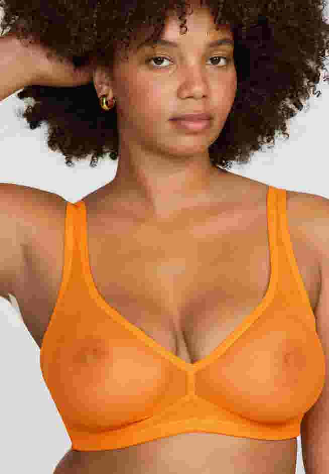The Mesh Wireless Plunge image number 8