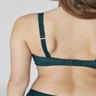 The Mesh Wireless Plunge image number null