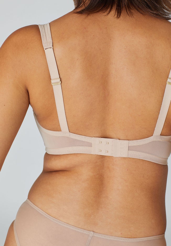 The Mesh Wireless Plunge image number 4