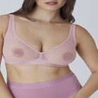 The Mesh Wireless Plunge image number null