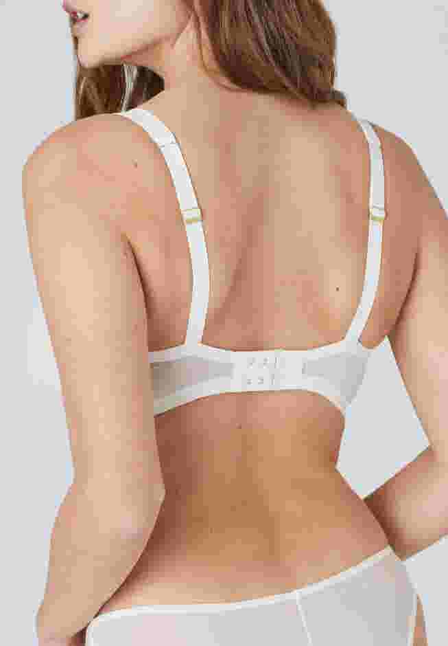 The Mesh Wireless Plunge image number 3
