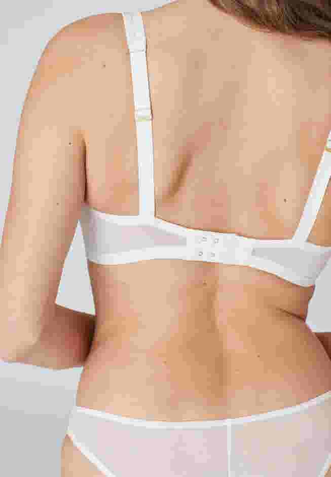 The Mesh Wireless Plunge image number 4