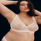 The Mesh Wireless Plunge image number null