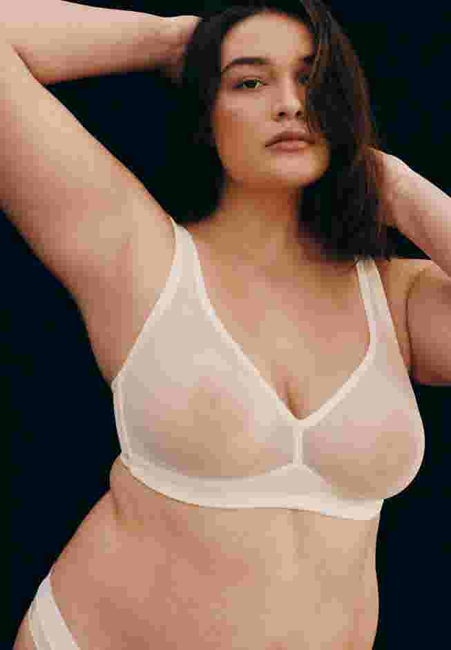The Mesh Wireless Plunge image number 8