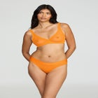 The Mesh Wireless Plunge image number null