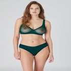 The Mesh Wireless Plunge image number null