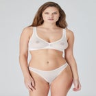 The Mesh Wireless Plunge image number null