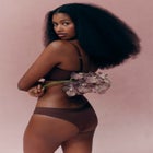 The Bikini - Modal image number null