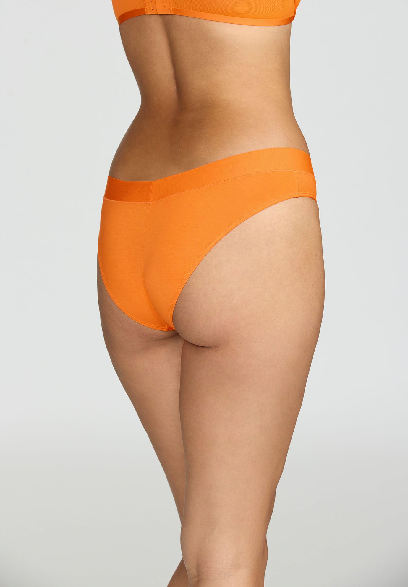 The Bikini - Modal image number 3