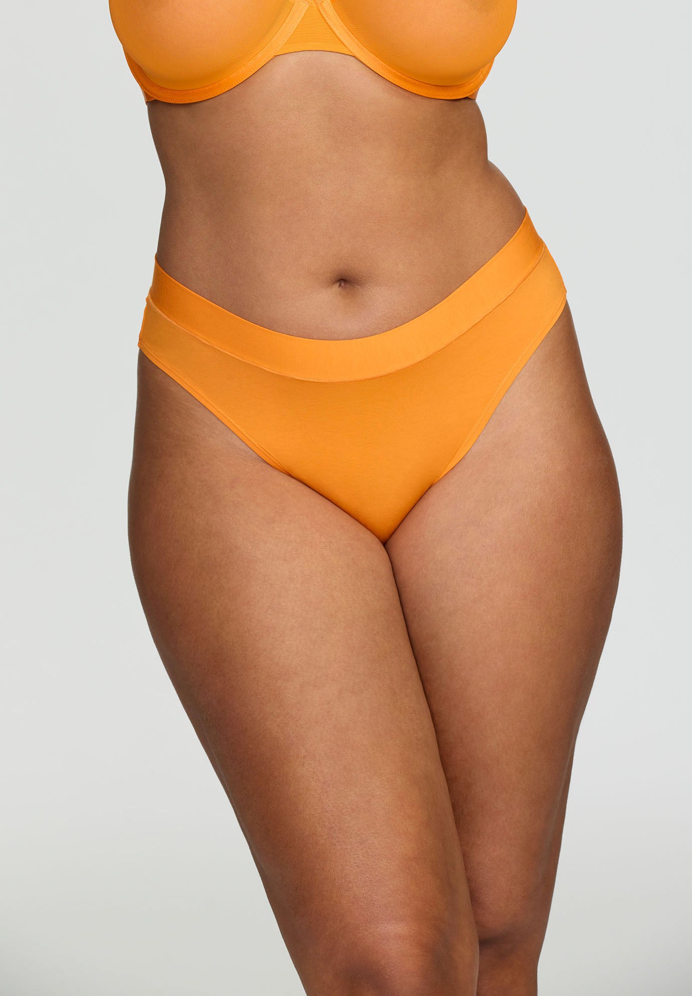 The Bikini - Modal image number 6